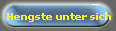 Hengste unter sich