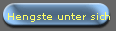 Hengste unter sich